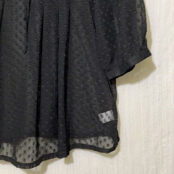 Daniel Rainn · Sheer Tunic Blouse · Small · Ruffle Collar Split V-Neck · Black - Picture 5 of 11